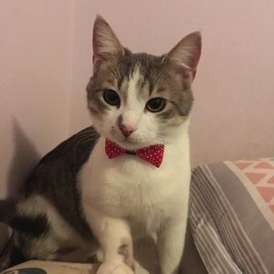 Meet your Posher, Sydney